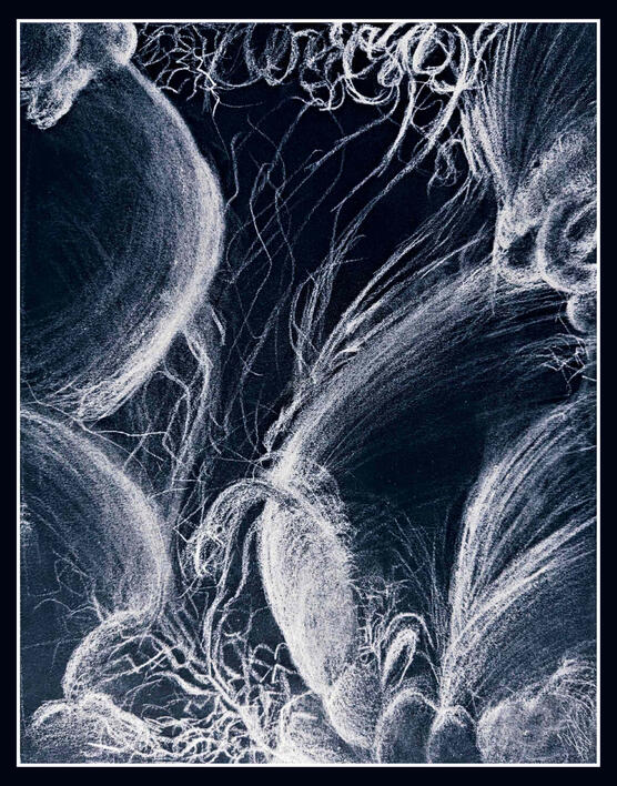 Interconnections, 2023