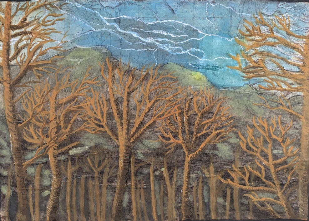 Navigating through Nature, 2023